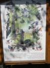 2011 04 08 - WILDPARK 11.webp