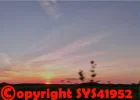 1679408764198.webp