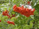 2011 07 20 - OSTPARK 04.webp