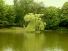 2011 07 20 - OSTPARK 31.webp