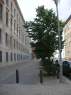 2012 - DOMINIQUE [BERLIN] 015.webp
