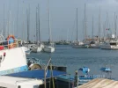 2016 02 24 - 2016 02 28 - DOMINIQUE [PALERMO - SIZILIEN - ITALIEN] 443.webp