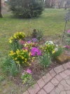 IMG-20230322-WA0000.webp