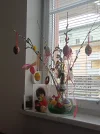 IMG_20230325_120514.webp
