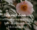 spruch.webp