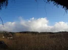 DSC01536.webp
