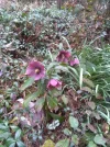 IMG_20230401_144707.webp