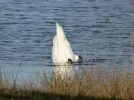 DSC08778bk.webp