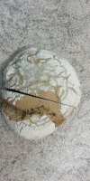 IMG-20230414-WA0009.webp