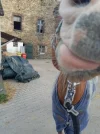 20230415_085025.webp