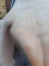 20230415_085028.webp