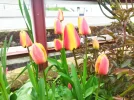 IMG_20230416_173546.webp