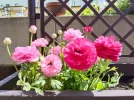 IMG_20230417_122507.webp