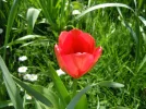 1681730193242.webp
