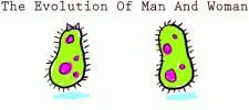! 1 a evolution.gif