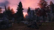 Oblivion 2016-05-15 16-51-46-83.webp
