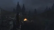 Oblivion 2016-05-17 21-50-04-09.webp
