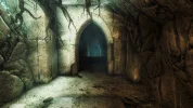 Oblivion 2016-05-22 13-35-43-50.webp