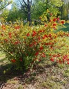 20230422_171329.webp