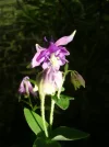 1682329912686.webp