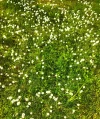 IMG_20230426_181221.webp