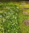 IMG_20230426_181221.jpg