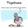 ! 1 p.webp