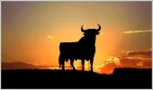 ! 1 a stier.jpg