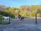 20230427_085409.webp