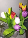 IMG_20230430_034454.jpg