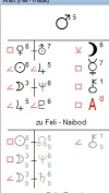 Mars Feli.webp