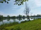 IMG_20230504_145218.jpg