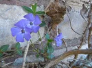 1683466945660.webp