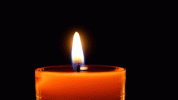 05-52-01-832_512.gif