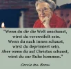 corrietenboomschauen.webp
