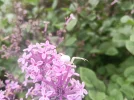IMG_20230519_090937.webp