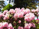 IMG_20230518_140559.webp