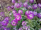 IMG_20230521_091334.webp