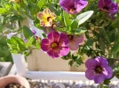 IMG_20230521_091249.webp
