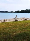 IMG_20230522_165459.jpg