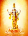 1684917054641.webp