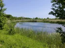 IMG_20230527_120707.webp
