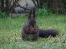 ! 1 a Geschenk von Atu.webp