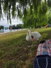 IMG_20220628_175853.webp