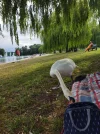 IMG_20220628_175854.webp