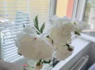 IMG_20230601_133212.webp
