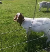 IMG-20230602-WA0005~2.webp