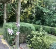 FullSizeRender.webp