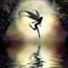thefairy
