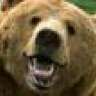Kodiak